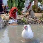 Belén Viviente de Las Protegidas.