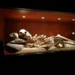 Museo de Nerja