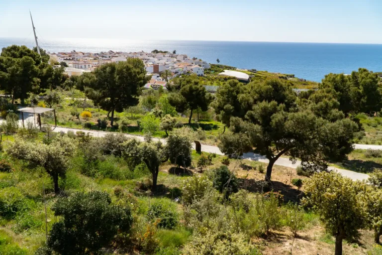 Jardín Botánico Detunda – Cueva de Nerja