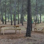 Área Recreativa El Pinarillo