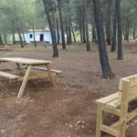 Área Recreativa El Pinarillo
