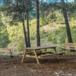 Área Recreativa El Pinarillo
