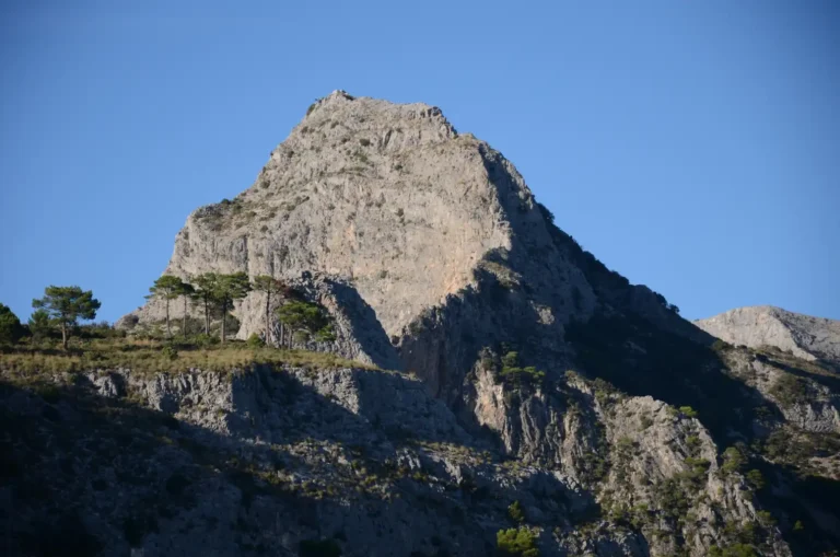 Ruta al Almendrón