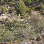 Ruta a la Cuesta el Cielo por la Civila