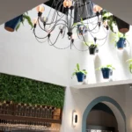 Restaurante Casa Luque