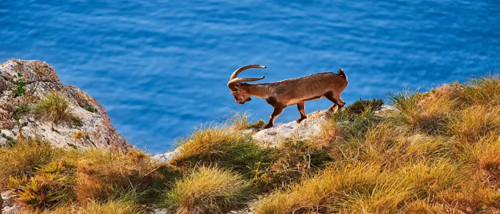 Naturaleza en Nerja